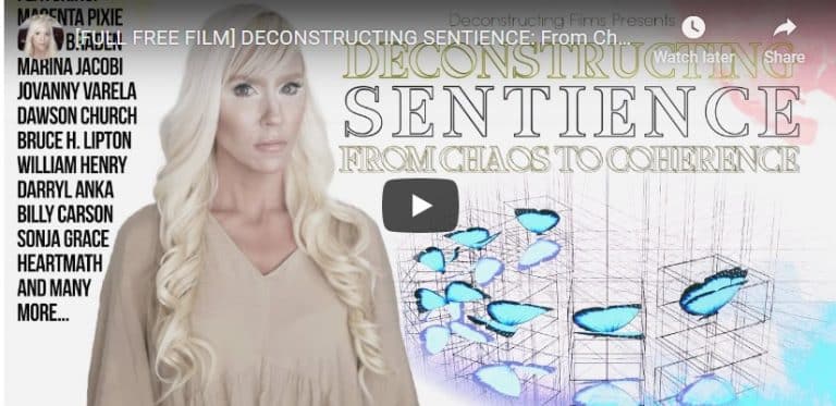 Δείτε δωρεάν το καταπληκτικό ντοκιμαντέρ Deconstructing Sentience - From Chaos to Coherence