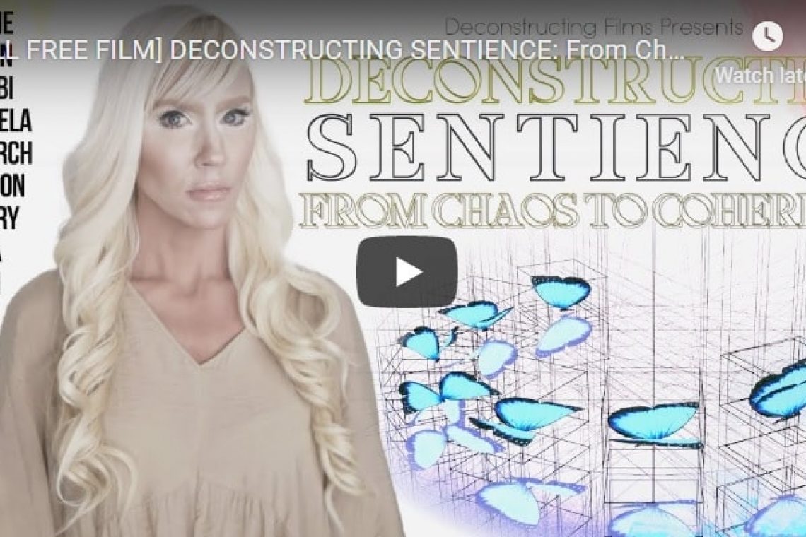 Δείτε δωρεάν το καταπληκτικό ντοκιμαντέρ Deconstructing Sentience - From Chaos to Coherence