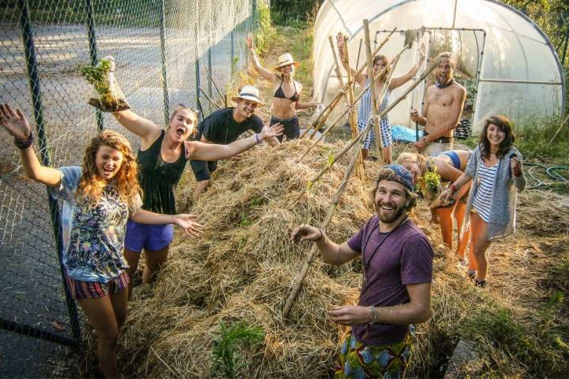 Travel-trends-for-2017-WWOOF