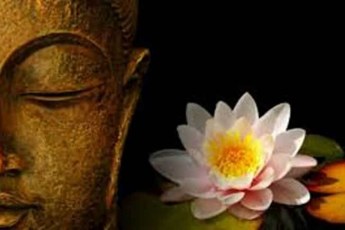 buddha lotus