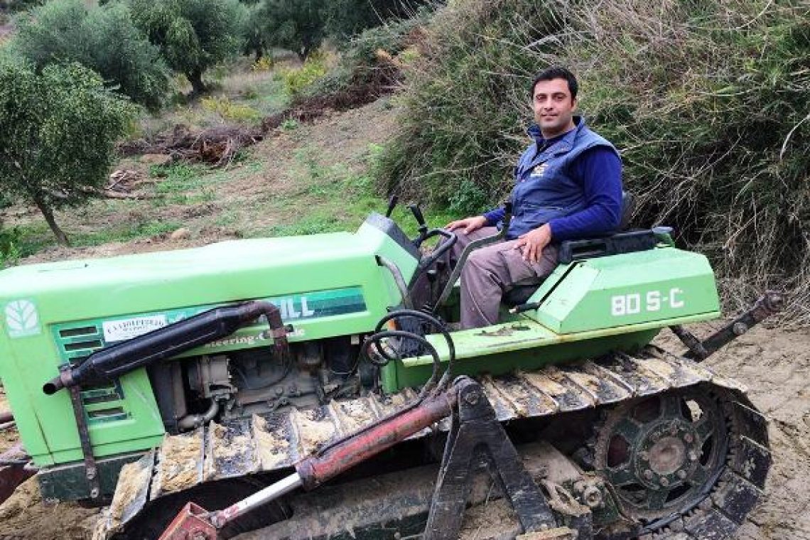 Δύο Έλληνες αγρότες διακρίθηκαν για την εφαρμογή μιας καινοτόμου μεθόδου συλλογής ελιών