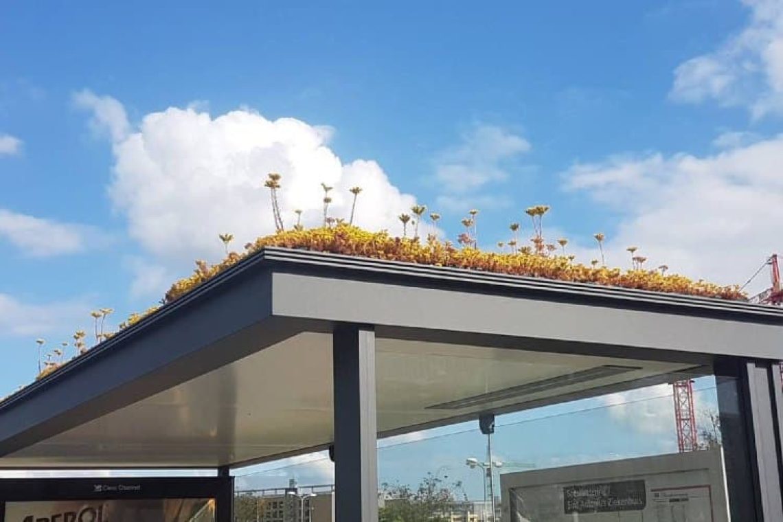 Ολλανδία: Μετέτρεψαν τις στάσεις των λεωφορείων σε κήπους για να βοηθήσουν τις μέλισσες (φωτογραφίες)