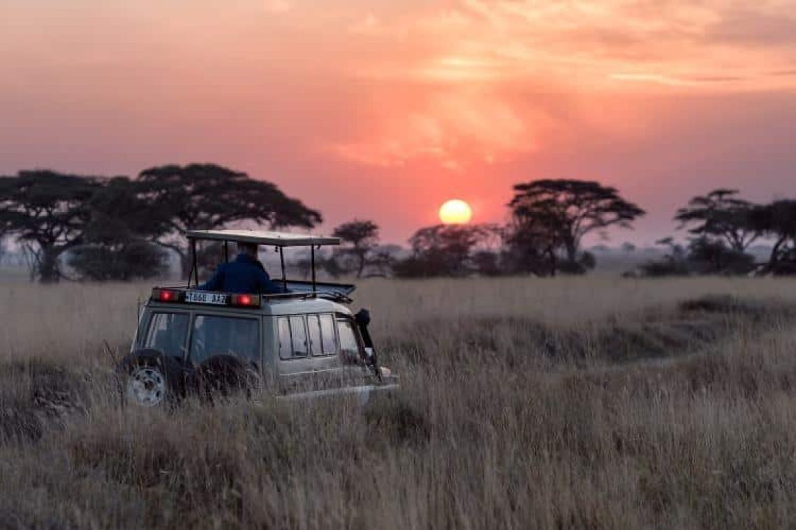 Η Τανζανία σχεδιάζει να κλείσει μεγάλες περιοχές άγριας ζωής για να περιορίσει το κυνήγι μεγάλων θηραμάτων