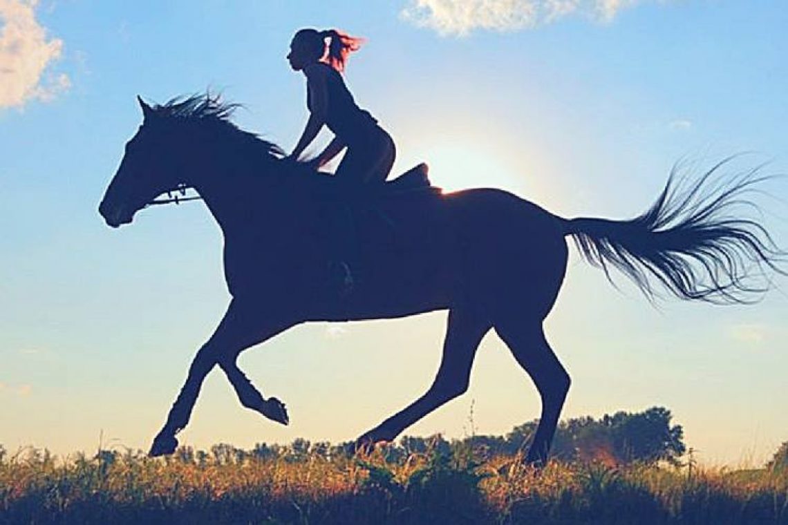 Ιππασία και Ψυχοθεραπεία: Γιατί τα άλογα επιδρούν τόσο ευεργετικά για τον άνθρωπο;