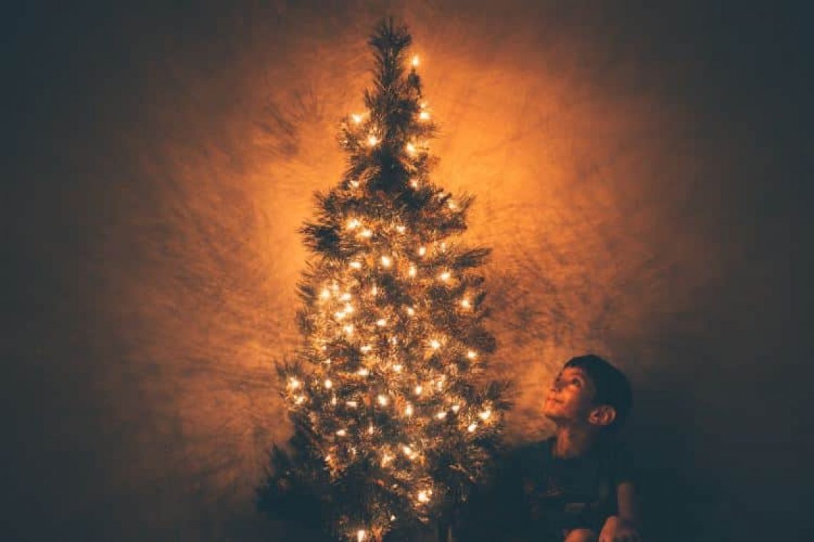 Το Ζωντανό Χριστουγεννιάτικο Δέντρο (μια αληθινή ιστορία)