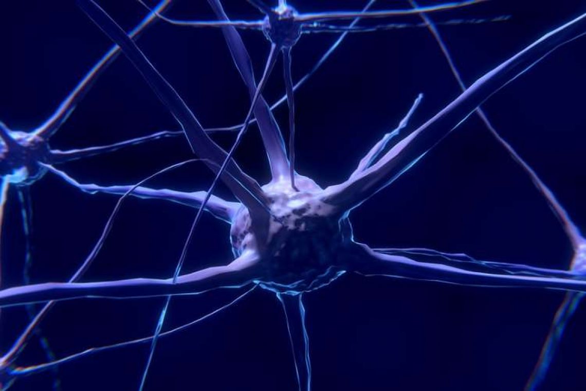 Οι νευροσυσχετισμοί και ο ρόλος τους στη διαμόρφωση του ΕΙΜΑΙ