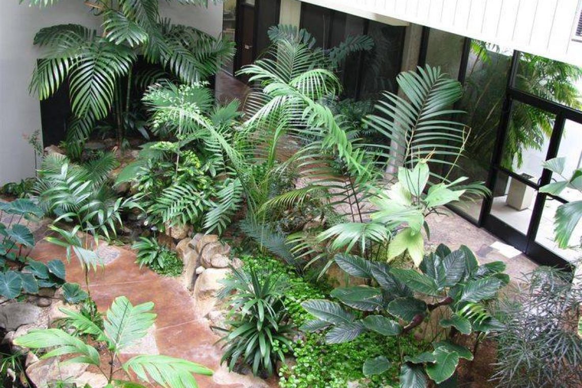 plants inside