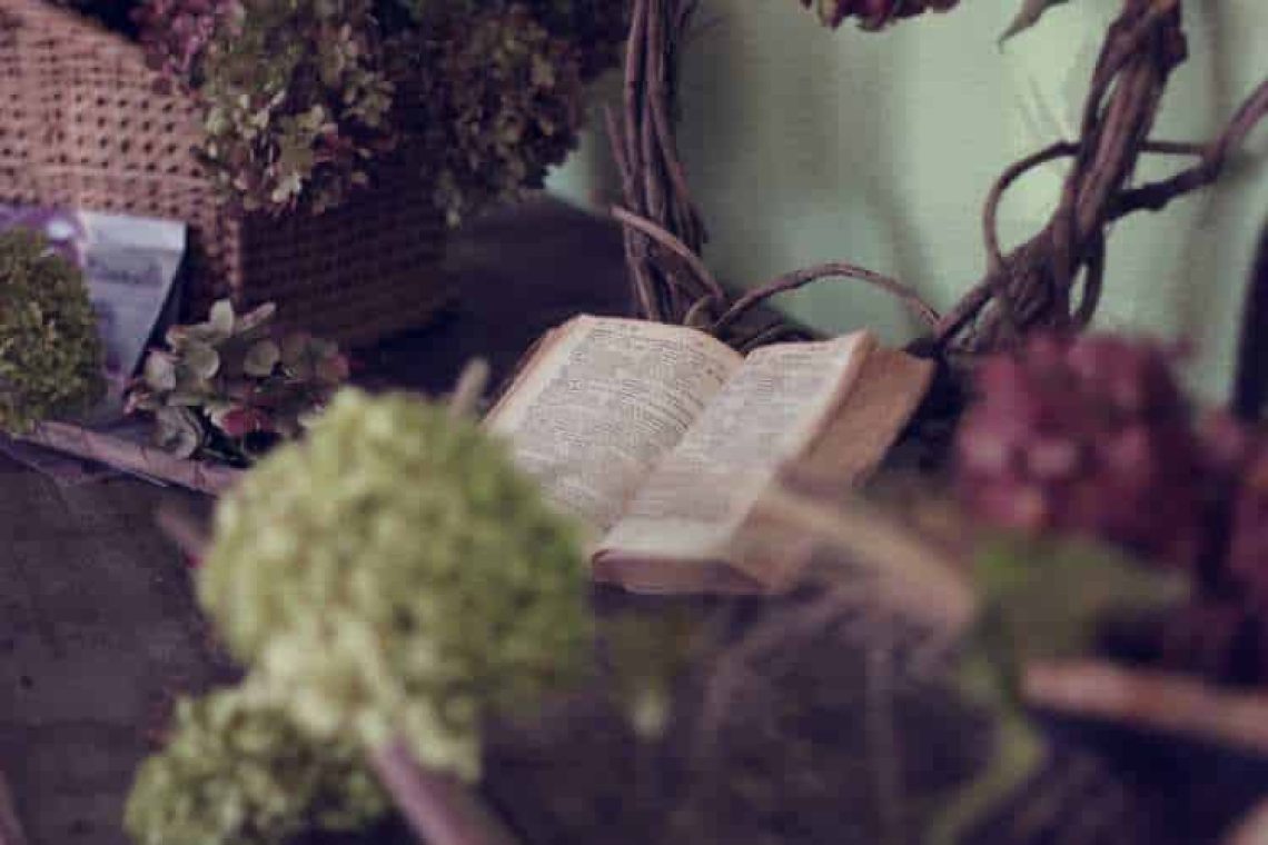 Ζωή σαν παραμύθι – Το διήγημα που κέρδισε την τρίτη θέση στο Διαγωνισμό Δημιουργικής Γραφής 2019